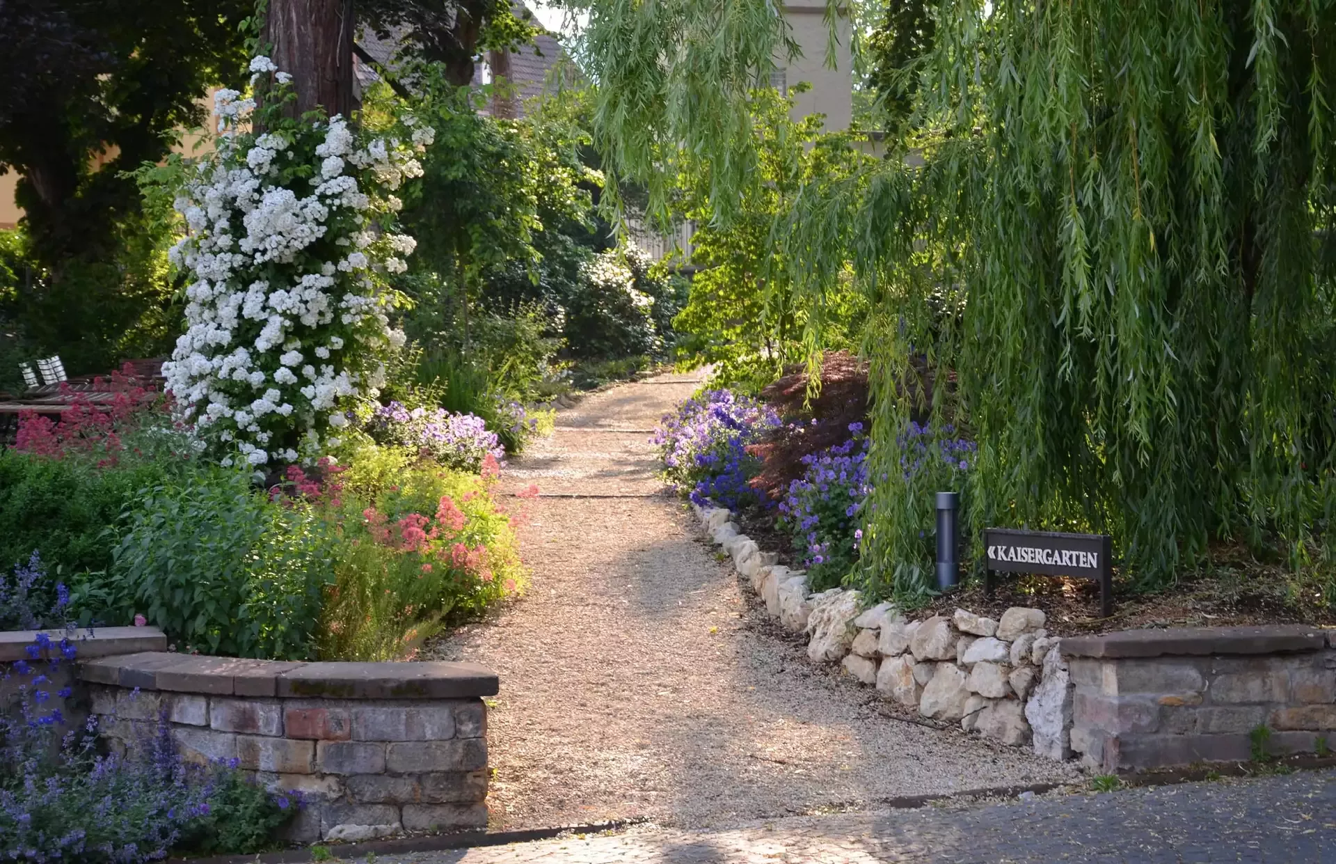 Ein malerischer Gartenweg, gesäumt von blühenden Blumen und Grünpflanzen. Der Weg wird von einer Vielzahl farbenfroher Blüten und einer üppigen Trauerweide gesäumt. In der Nähe des Eingangs ist ein Schild mit der Aufschrift „Kaisergarten“ zu sehen.