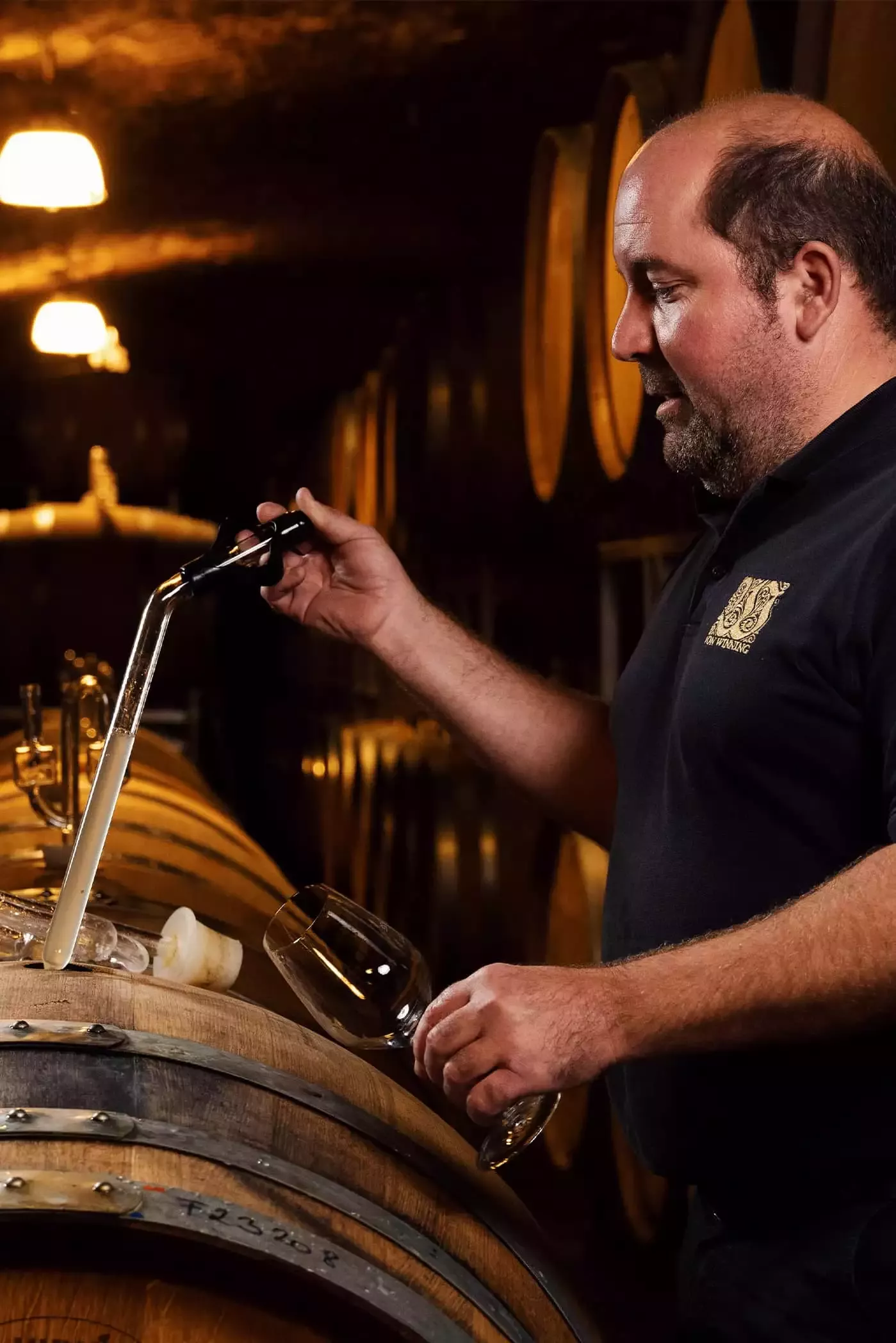 Ein Mann im schwarzen Hemd gießt Wein aus einem Fass mithilfe eines Weindiebs in ein Glas. Er befindet sich in einem schwach beleuchteten Keller, der mit Holzfässern gesäumt ist.