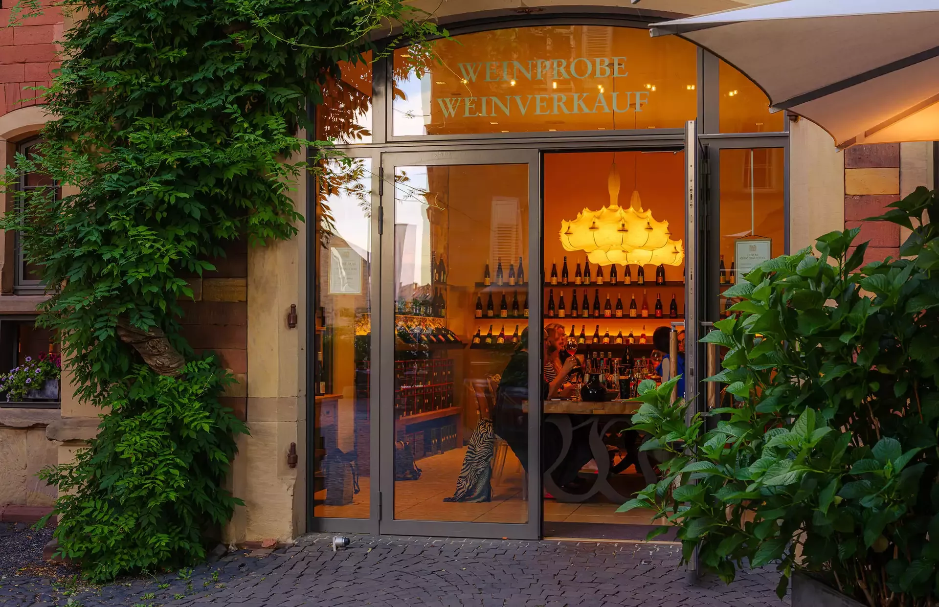Der Eingang der Vinothek des Weinguts von Winning mit einer Glastür mit der Aufschrift „Weinprobe Weinverkauf“. Im Inneren sind Regale voller Weinflaschen zu sehen, die von einem warmen Kronleuchter beleuchtet werden. Das Äußere ist mit üppigem Grün und Kopfsteinpflaster geschmückt.